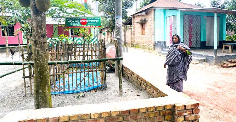নতুন ঘর উঠেছে, সংসারে টাকা আসে, শুধু নেই আবু সাঈদ!