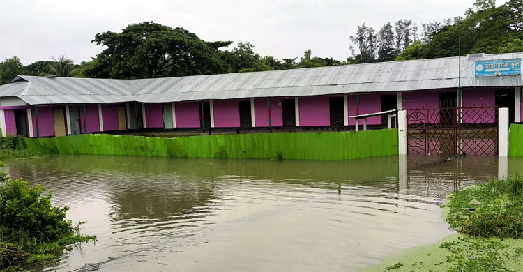 এবার আষাঢ়ে বৃষ্টিপাত বেড়েছে ১১.৩ শতাংশ, কমেছে ঢাকায়