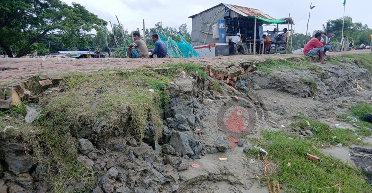 সাগরে মাছ কম, হতাশ জেলেরা