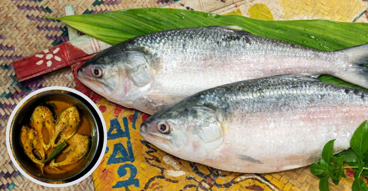 সামুদ্রিক মাছ কেন খাবেন