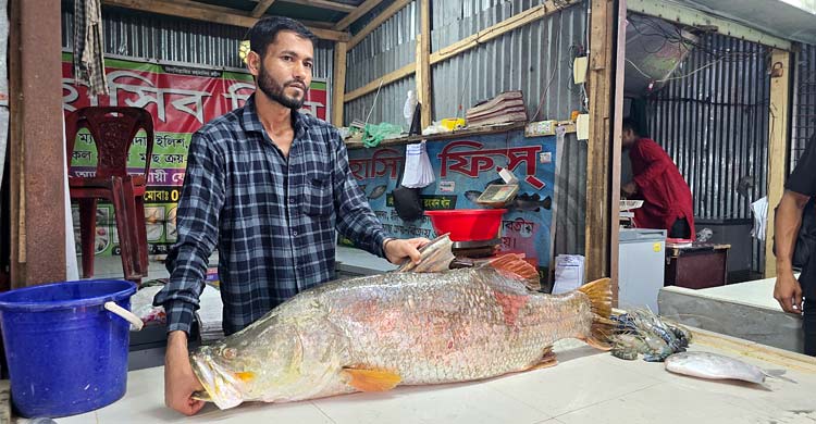 সাগরে জেলের জালে ২২ কেজির কোরাল, ৩৫ হাজারে বিক্রি