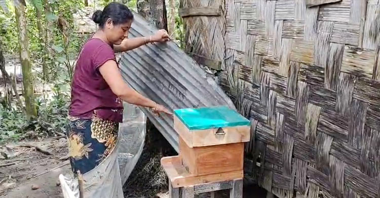 বান্দরবানে বাড়ছে মৌচাষ, রয়েছে বাণিজ্যিক সম্ভাবনা
