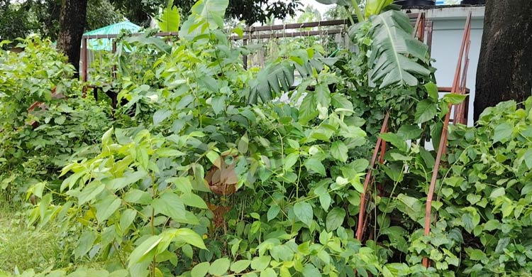 ঝোপঝাড়ে ছেয়ে গেছে ৭৭ লাখ টাকার শিশুপার্ক