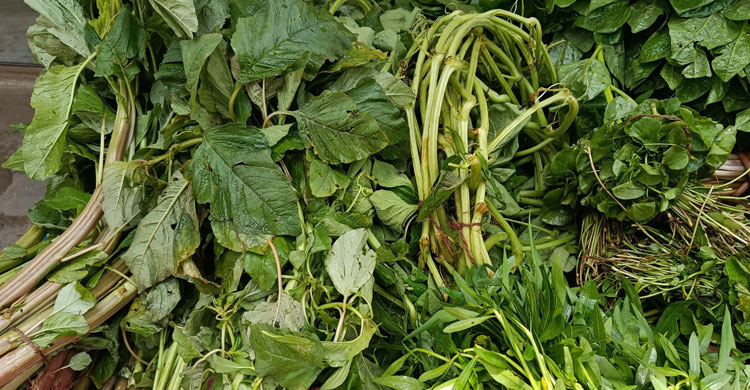 ৩০ টাকায় এক আঁটি লাল শাক