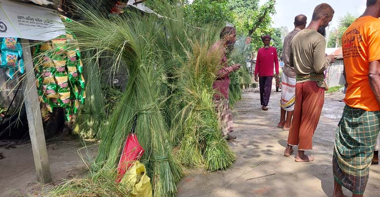 চরে জন্মানো ঘাস বিক্রির টাকায় চলে সংসার