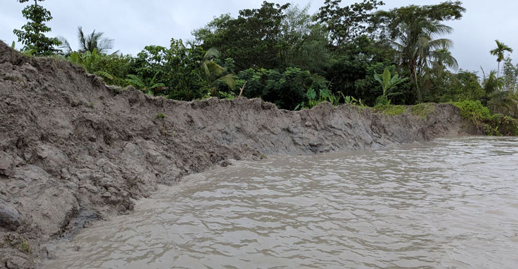 &lsquo;একটু জমি বাঁচিয়ে ঘর করি, আবার ভেঙে যায়&rsquo;