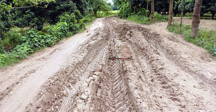 সাড়ে ৩ কিলোমিটার বেহাল সড়কে আটকে ১০ গ্রামের অর্থনীতি