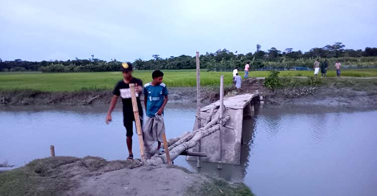 একটি সেতুর অভাবে দুর্ভোগে চরের মানুষ