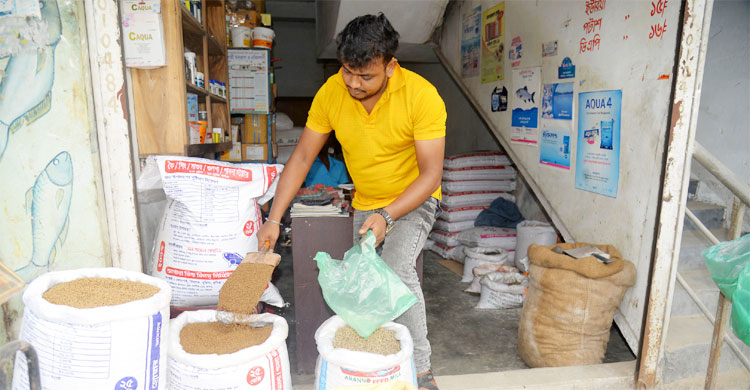কাঁচামাল সস্তা হলেও কমছে না প্রাণিখাদ্যের দাম