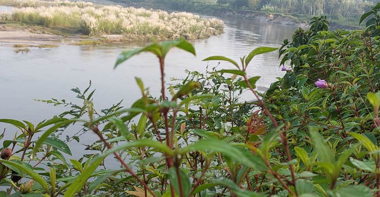 পঞ্চগড়ে কুয়াশাচ্ছন্ন ভোরের আকাশে শীতের হাতছানি