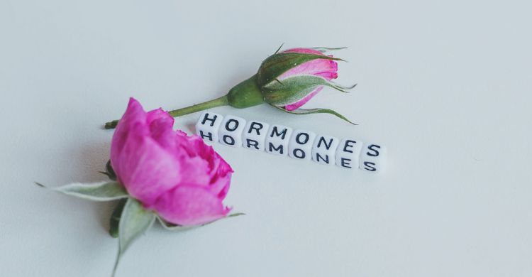 বিয়ের পর নারীর শরীরে হরমোন যেভাবে পাল্টে যায়