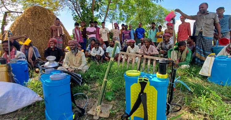 পেঁয়াজ চাষে হতাশা বাড়াচ্ছে সার ‘সিন্ডিকেট’