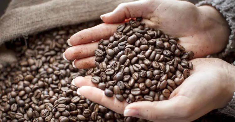 এক কাপ কফির বিশ্বরেকর্ড