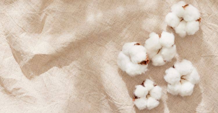 সুতি কাপড় পরার উপকারিতা