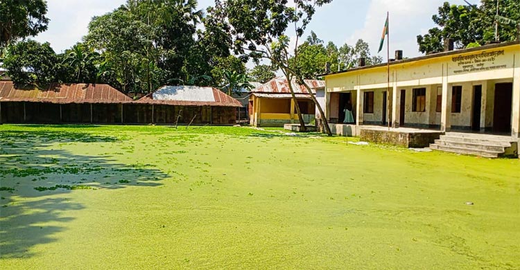 মাদরাসার মাঠে জলাবদ্ধতা, পানি মাড়িয়ে করতে হয় ক্লাস