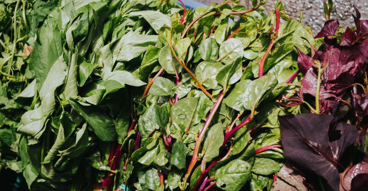 শাক কখন ও কী দিয়ে খাওয়া উচিত