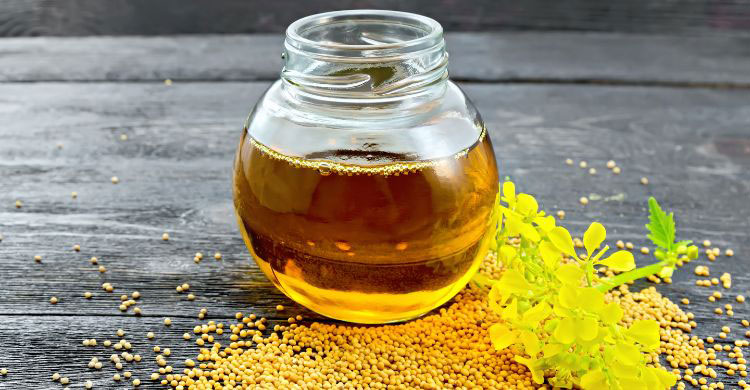 সয়াবিন নাকি সরিষা, প্রতিদিনের রান্নায় কোন তেল খাবেন