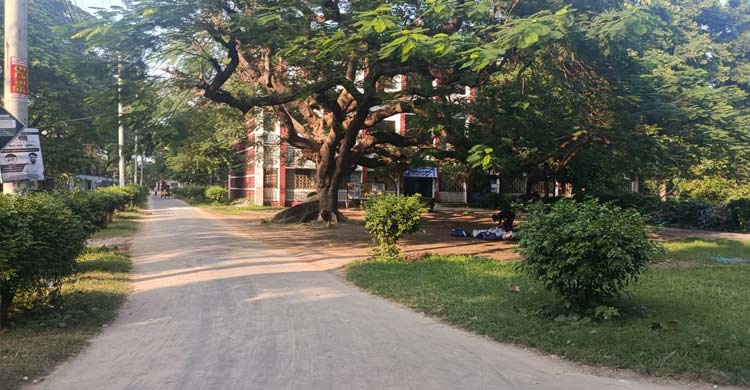 নেই উচ্ছ্বাস, নীরবতায় মোড়া পুরো ক্যাম্পাস