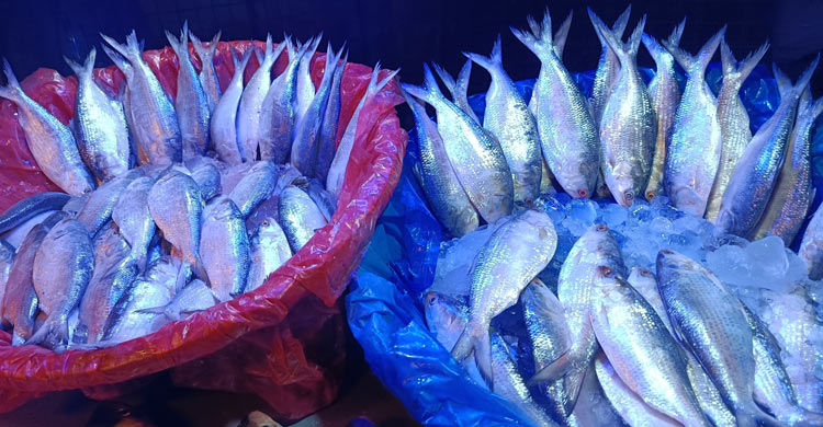 খুচরা বাজারে মাছের দাম চড়া