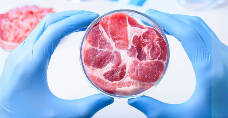 দীর্ঘদিন ভেজাল খাবার খেলে শরীরে কী ঘটে