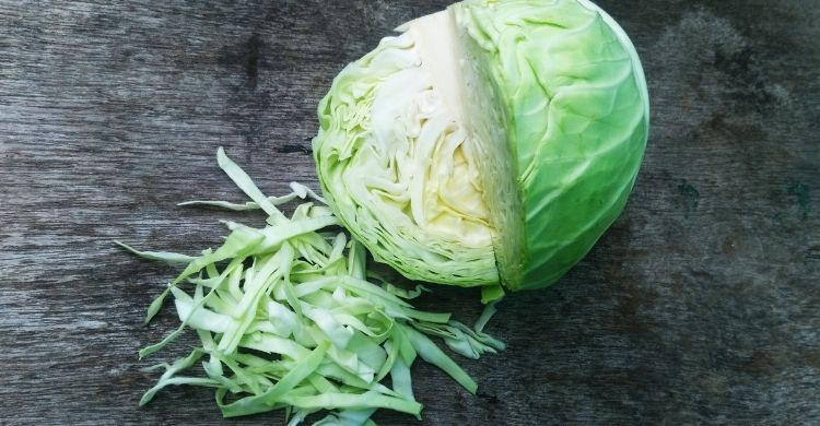 ফুলকপি নাকি বাঁধাকপি? পুষ্টিগুণে কে এগিয়ে