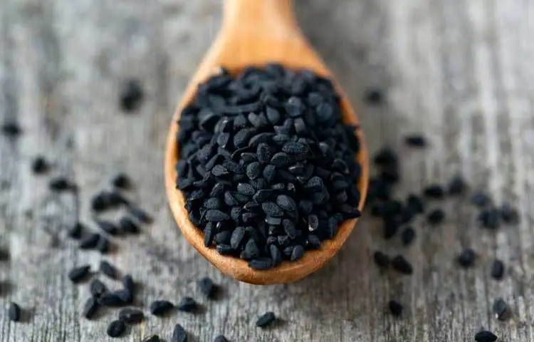 কালিজিরায় নিয়ন্ত্রণে থাকবে উচ্চ রক্তচাপ, জানুন রহস্য