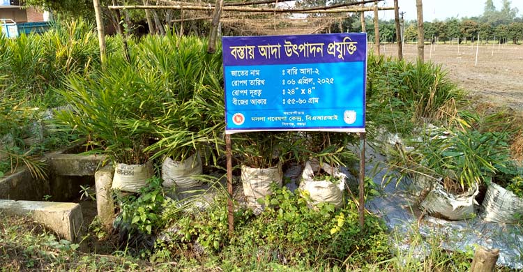 ল্যাবেই বন্দি উদ্ভাবন, প্রয়োগ নেই মাঠে
