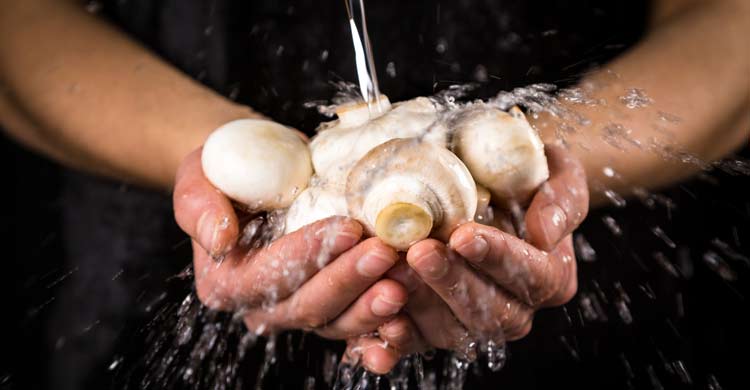 মাশরুম পরিষ্কারের সহজ কৌশল