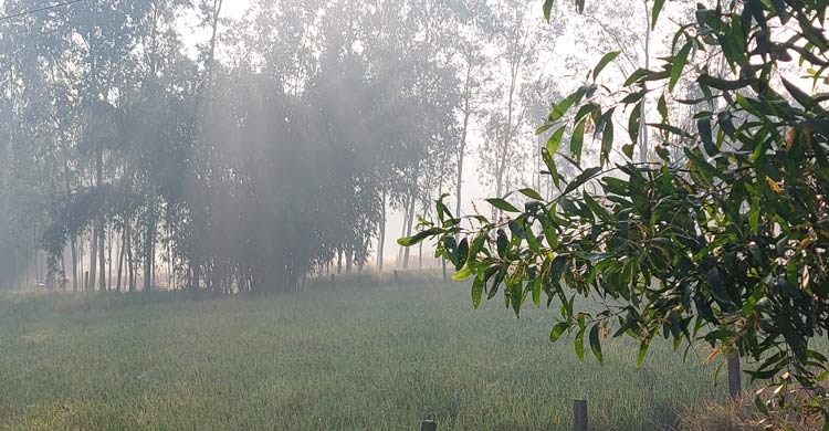 পঞ্চগড়ে আবারো ১২ ডিগ্রিতে নামলো তাপমাত্রা