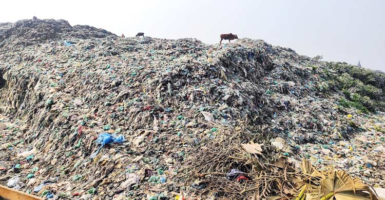 রাস্তার পাশে পাহাড়সম ময়লা, দুর্গন্ধে নাকাল নগরবাসী