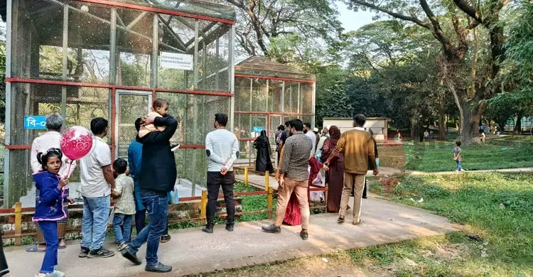 চিড়িয়াখানায় দর্শনার্থীর নজর কাড়ছে সাদা কাক