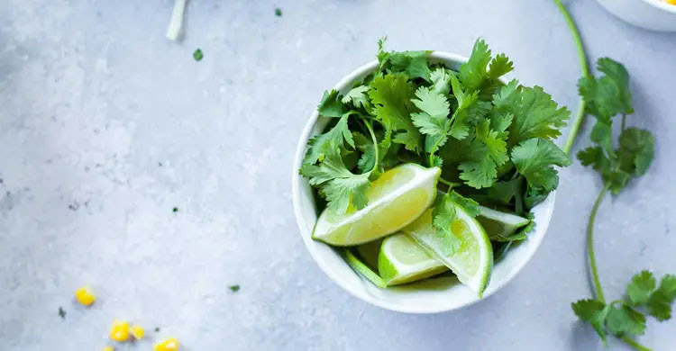 ধনে পাতা শুধু স্বাদ বাড়ায় না, আছে পুষ্টিগুণও