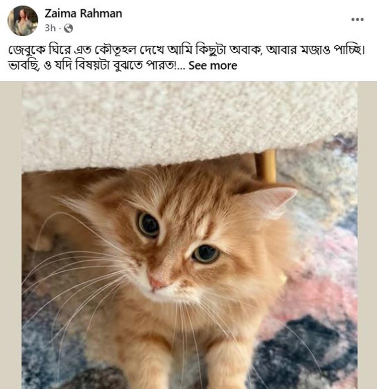 জেবুর বেড়ে ওঠার গল্প জানালেন জাইমা রহমান