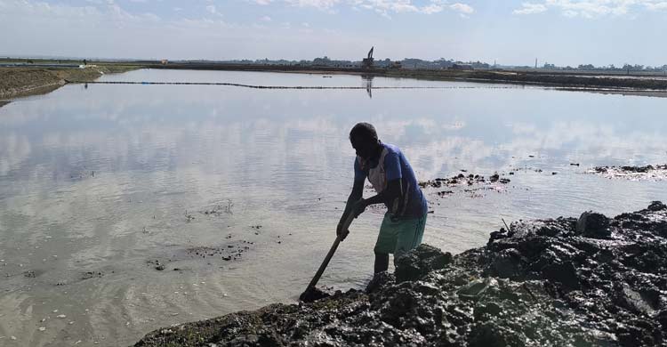 দুয়ারে নির্বাচন, বাঁধের কাজ নিয়ে শঙ্কায় হাওরের কৃষকরা