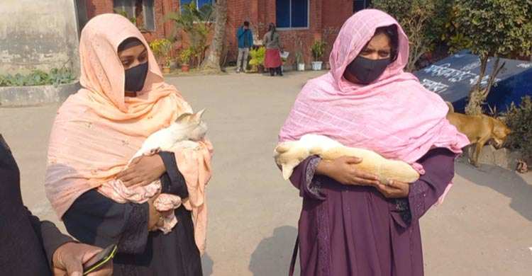 প্রতিবেশীর বিড়াল পিটিয়ে হত্যা, থানায় অভিযোগ