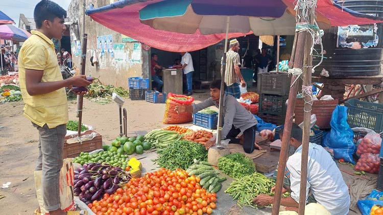 বরিশালে কমেছে কাঁচামরিচ-পেঁয়াজের দাম