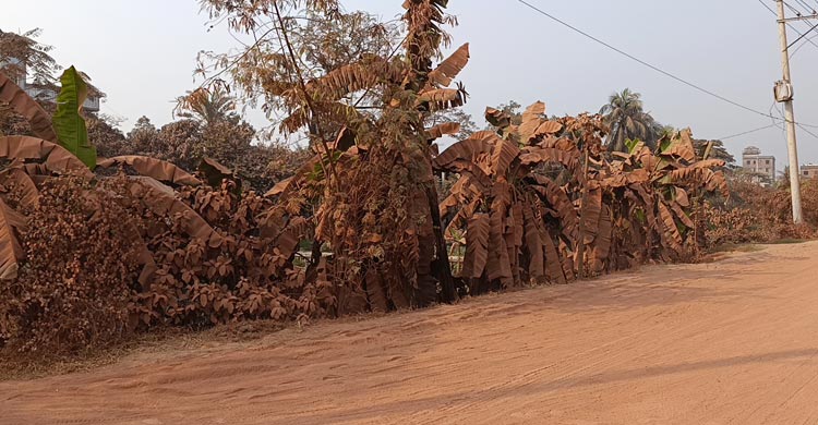 মদনপুর-মদনগঞ্জ-সৈয়দপুরের বেহাল সড়কে ভোগান্তি চরমে