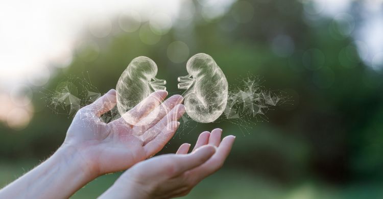 কিডনির রোগীরা রোজার আগে ডাক্তারকে যে ৭ প্রশ্ন করবেন