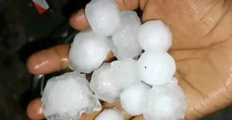 শিলাবৃষ্টিতে পাবনার লিচু ও আম চাষিদের কপালে চিন্তার ভাঁজ