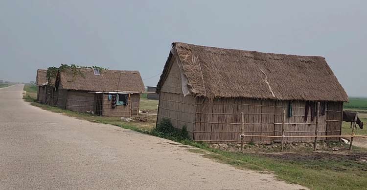 হাওরে পরিবারহীন জিরাতিদের জীবনে নেই ঈদের ছোঁয়া