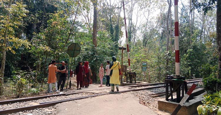 লাউয়াছড়ায় বেসামাল পর্যটক, বনে অস্থিরতা আতঙ্কে প্রাণীরা