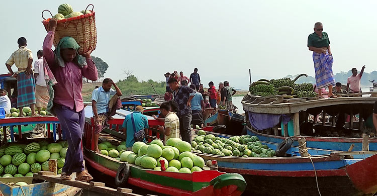 পাইকারি বাজারে ২৫০ টাকার তরমুজ মিলছে ১০০ টাকায়