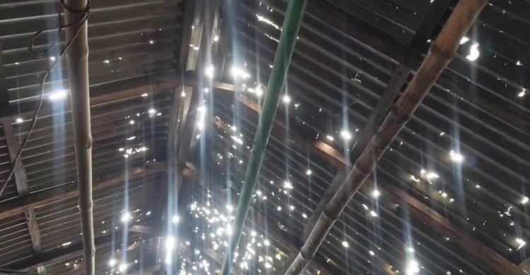 লালমনিরহাটে শিলাবৃষ্টিতে ফসলের ব্যাপক ক্ষতি