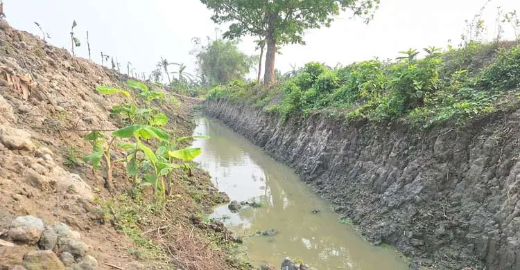 অন্যের মৎস্য খামারের মাটি কেটে বিক্রির অভিযোগ বিএনপি নেতার বিরুদ্ধে