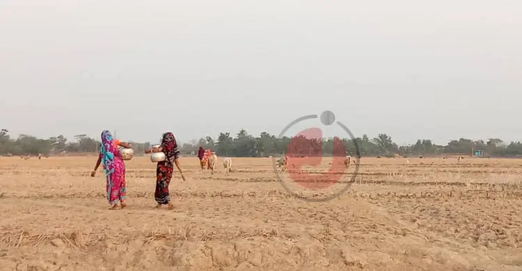 এক কলস পানির জন্য পাড়ি দিতে হয় মাইলের পর মাইল