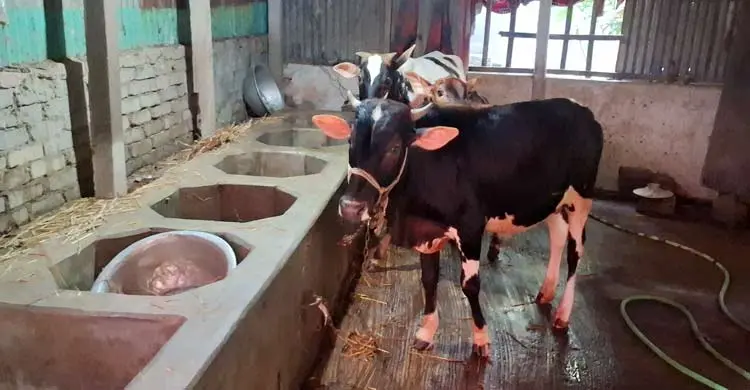 প্রধানমন্ত্রীর কাছ থেকে কৃষক কার্ড পাওয়া কবির সম্পর্কে যা জানা গেলো