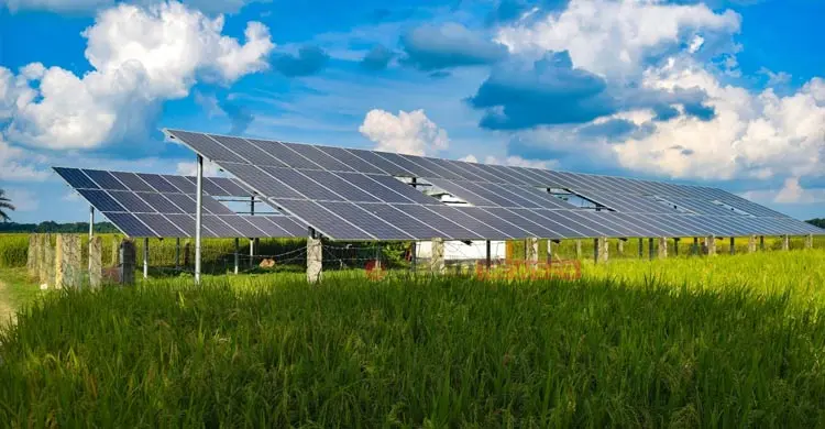 জ্বালানি সংকটে ভরসা সোলার পাম্প