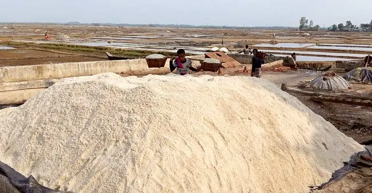 বৃষ্টিতে লবণচাষিদের স্বপ্নভঙ্গ