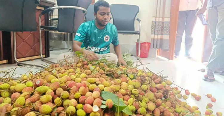 গাছ থেকে লিচু পেড়ে কক্ষে কক্ষে পৌঁছে দিলেন হল সংসদের নেতারা