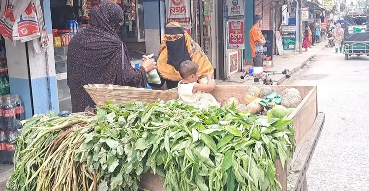 ভ্যানভর্তি সবজি মাঝে ছোট্ট আয়েশাকে নিয়ে মা শিউলি বেগমের সংগ্রামী জীবন